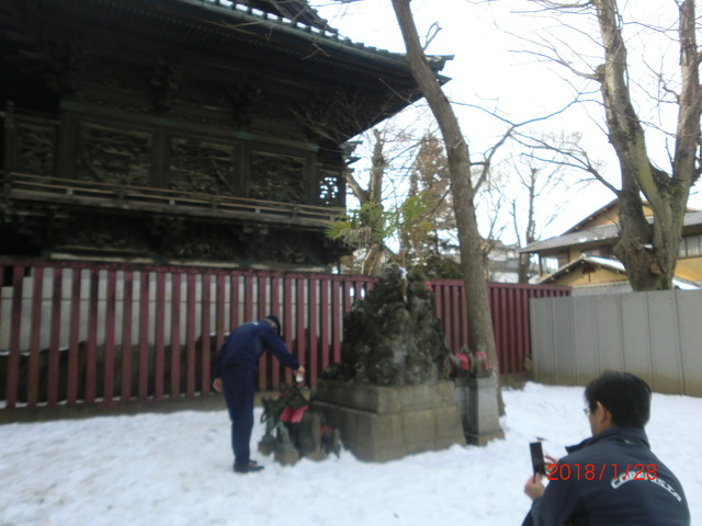 CIMG5318.JPG