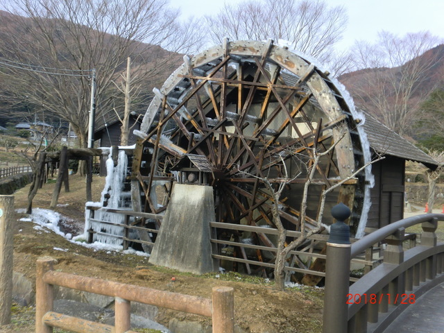 CIMG5331.JPG