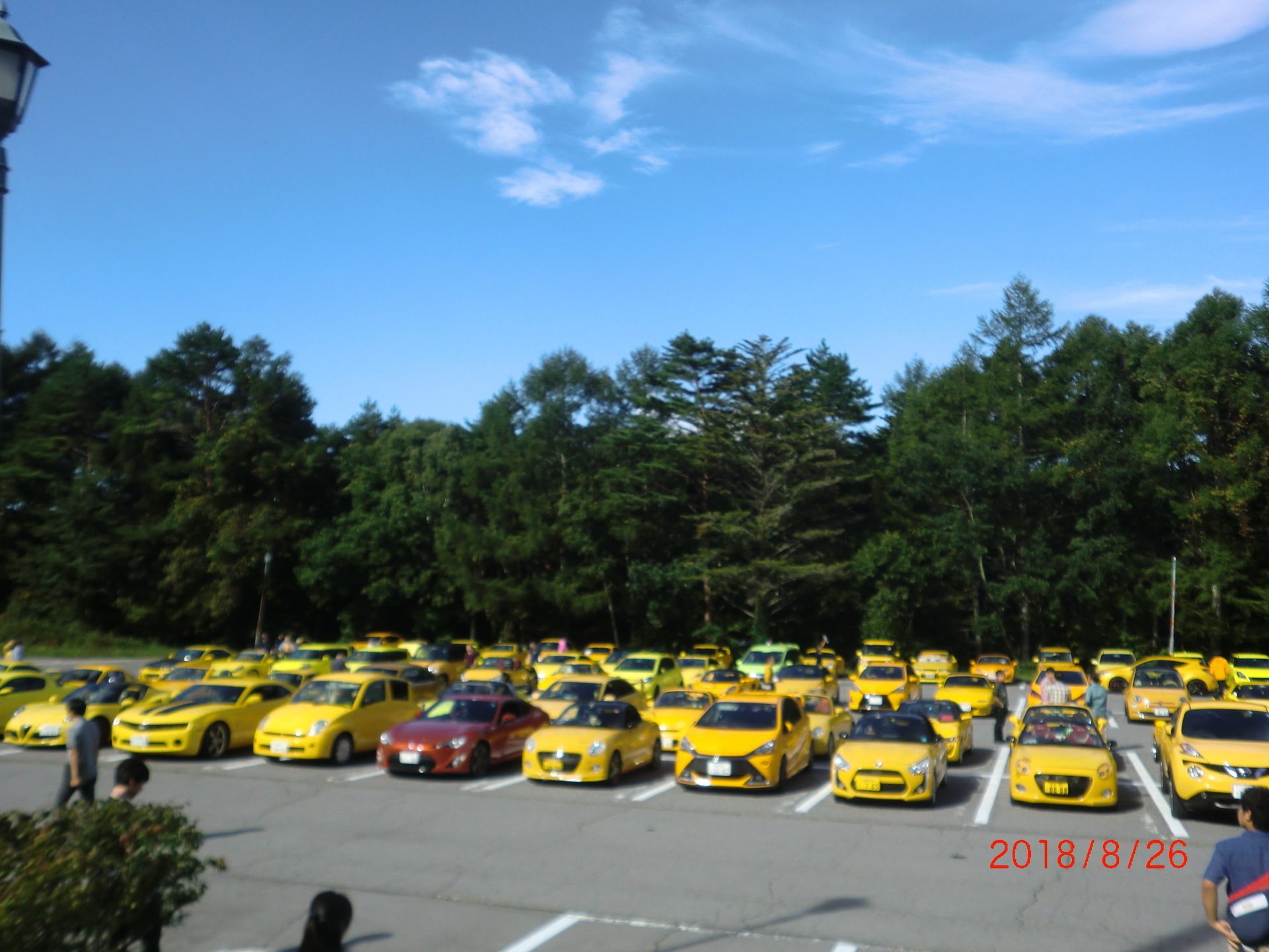黄色い車だけのオフ会に参加しました Copen コペン愛用者のブログ